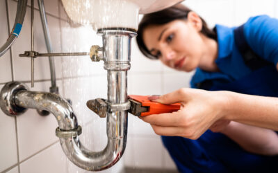 DIY Plumbing: Tips for Simple Repairs